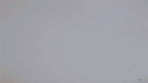 Motion graphic scene with dynamic typography